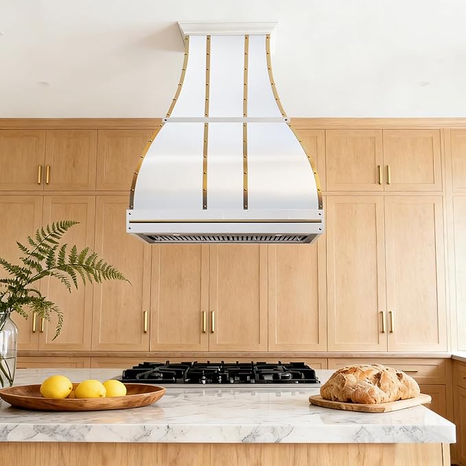 CHETTO C Stainless Steel Range Hood Cover with 4-Speed Vent Hood Insert Custom Handcrafted Metal Kitchen Fan with Towel Rack LED Light 48"W x27"D x27"H White Island Mount