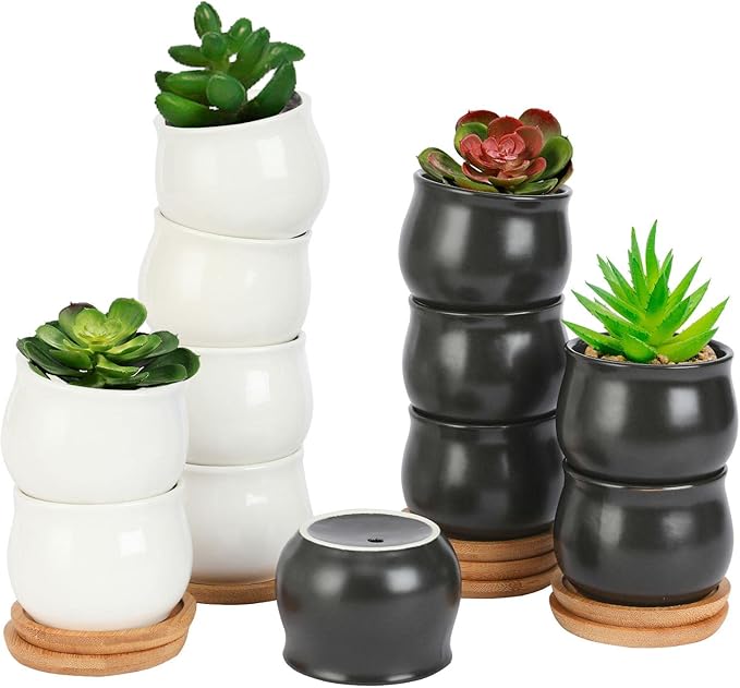 12 Pack Succulent Plant Pot, Mini 2.6 inch Ceramic Flower Planter Pot with Bamboo Tray, Small Pots for Plants, Plants Not Included （White, Black）