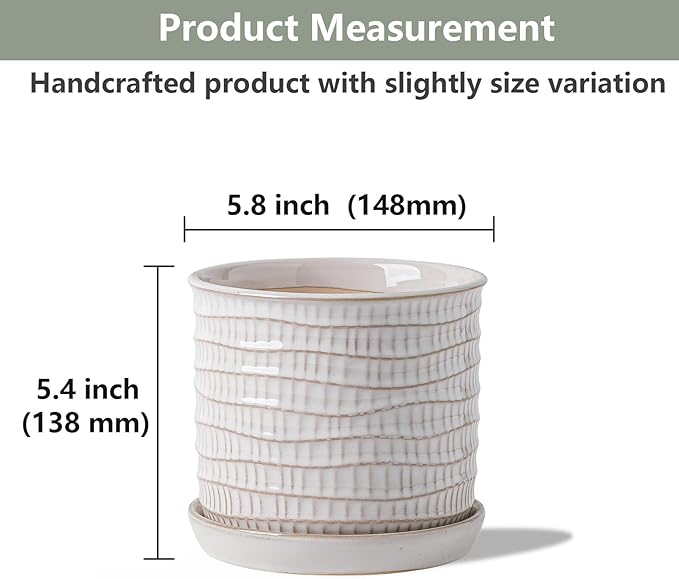 5.8 Inch Plant Pot: Ceramic Planter with Drainage Hole & Saucer - Cream White Flowerpot for Indoor & Outdoor Plants - with Separate Tray for Home & Office - Wave Embossed Design