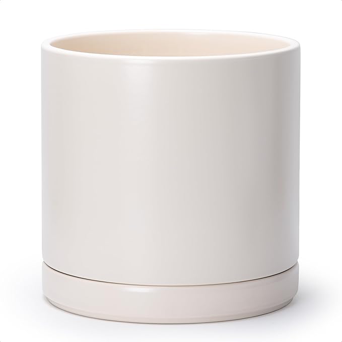 D'vine Dev 12 Inch Ceramic Planter Pot with Drainage Hole and Saucer, Indoor Cylinder Round Planter Pot, Oatmeal, 94-O-F-8