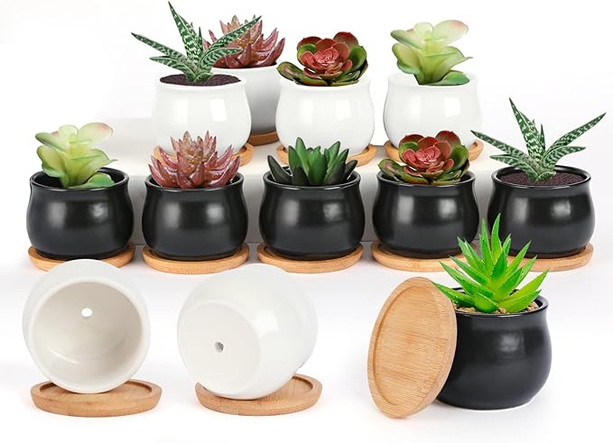 12 Pack Succulent Plant Pot, Mini 2.6 inch Ceramic Flower Planter Pot with Bamboo Tray, Small Pots for Plants, Plants Not Included （White, Black）