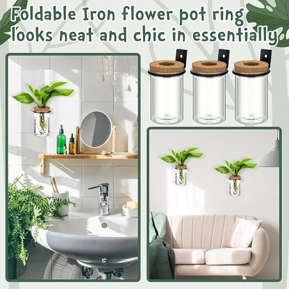 Baderke 12 Set Wall Plant Holder with Plastic Propagation Vases Hanging Planter Wall Mounted Set for Plants Growing in Water Hydroponic Artificial Plants Indoor Decor (2.48" X 3.94",Classic)