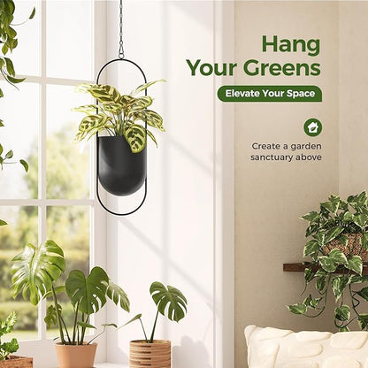 Bamworld Hanging Planters for Indoor Outdoor Plants Metal Hanging Pots for Plants 5.5 Inch Modern Hanging Baskets Window Plant Hanger Ceiling Hanging Flower Pots with Chain for Wall Decor (Black)