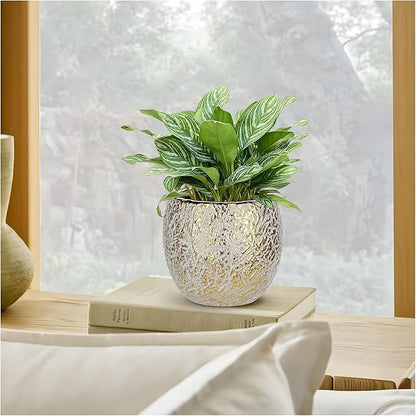 Ceramic Plant Pots for Plants Indoor 5.3 Inch Round Gold and White Flower Pot Gilded Decorative Planter with Drainage Hole and Saucer Modern Ceramic Pot for Succulents Orchids Cactus Herbs Home Decor