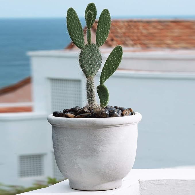 Crescent Garden Agave Planter, Classic Lightweight Resin Planter - UV-Resistant Flower Pots - Indoor & Outdoor Pot for Flowers, Houseplant, Herbs, 14" W x 11" H (Parchment)