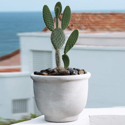 Crescent Garden Agave Planter, Classic Lightweight Resin Planter - UV-Resistant Flower Pots - Indoor & Outdoor Pot for Flowers, Houseplant, Herbs, 14" W x 11" H (Parchment)