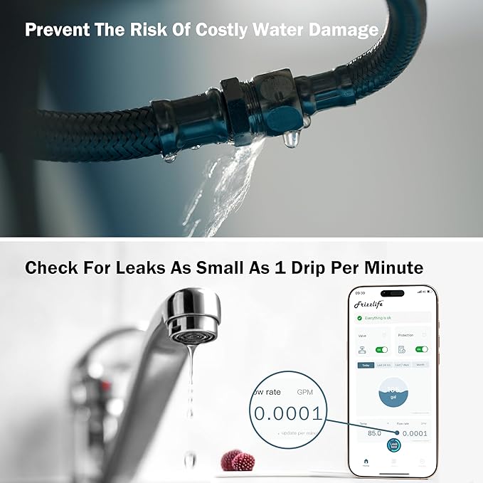 Frizzlife LP365 1.25-Inch Smart Water Monitor and Automatic Shutoff