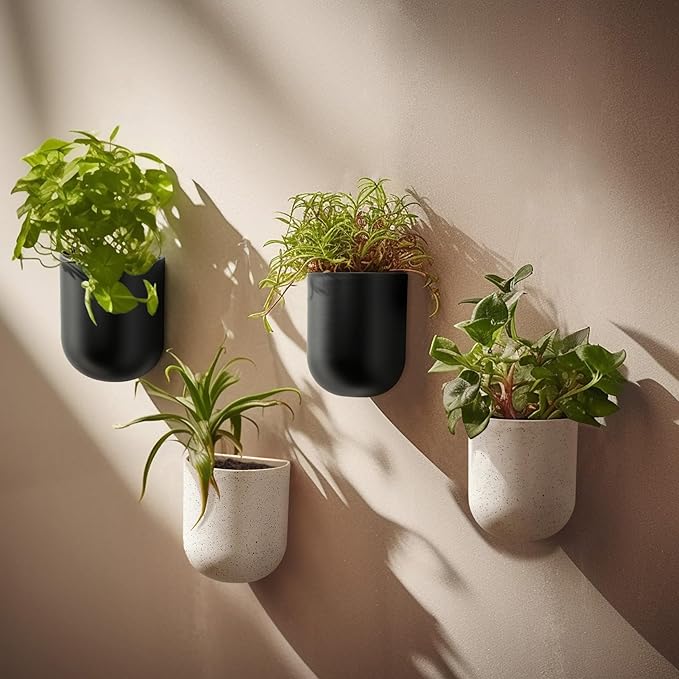 La Jolie Maison Wall Hanging Planters for Indoor Plants, Hanging Flower Pots for Air Plants Succulent, Set of 2, 6 Inch