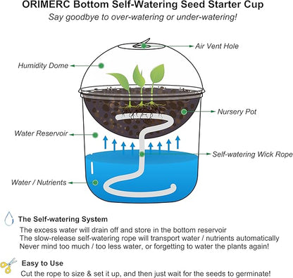 ORIMERC 30 Set Nursery Pots with Humidity Dome, Clear Nursery Pots with Drainage, Self Watering Small Plant Pots, Seedling Pots for Plants, Seed Starter Pots for Planting Vegetables Fruit Flower