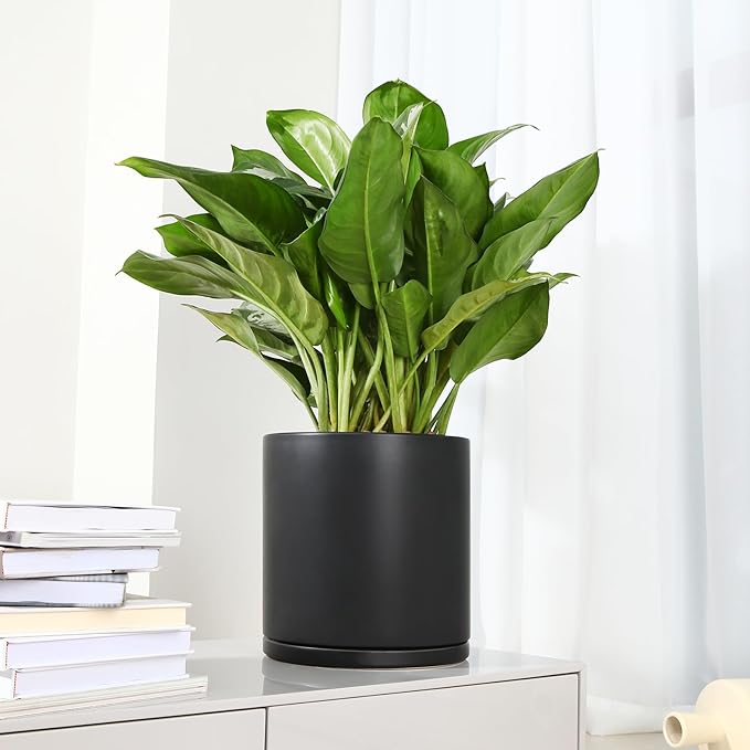 Kazeila Plant Pots Ceramic Planter for Indoor Outdoor Plants Flowers 10 Inch Matte Black Large Cylinder Flower Pot with Saucer and Drainage Hole,Glazed Finish Interior and Exterior