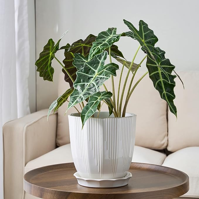 ADN Ceramic Planter - Large Plant Pot Indoor Ceramic Pots for Plants with Drainage Hole and Saucer for Home Decor, White, 8 Inch