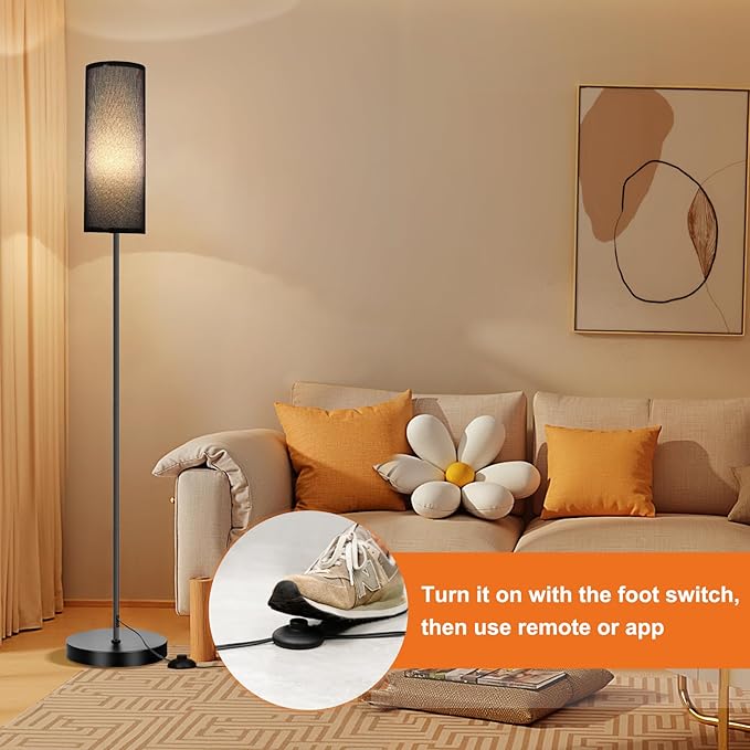 FRIDEKO HOME Floor Lamp, Color Changing Ambient Lighting