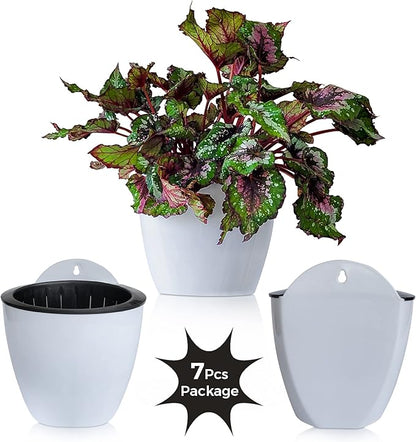 ShoppeWatch Wall Planters for Indoor Plants 7 Pack | Hanging Planters Large 7 Inch with Hooks | Wall Pots for Plants | 7.28 x 6.1 inches - PL35