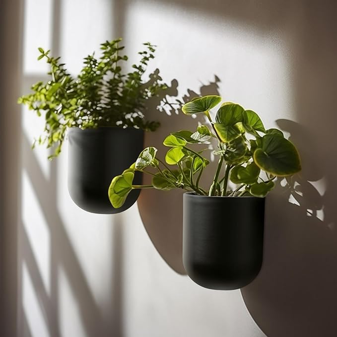La Jolie Maison Wall Hanging Planters for Indoor Plants, Hanging Flower Pots for Air Plants Succulent, Set of 2, 6 Inch