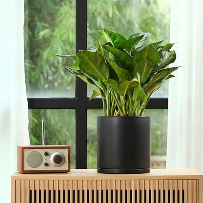 Kazeila Plant Pots Ceramic Planter for Indoor Outdoor Plants Flowers 10 Inch Matte Black Large Cylinder Flower Pot with Saucer and Drainage Hole,Glazed Finish Interior and Exterior