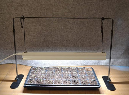 2ft Grow Light for Seed Starting,LED Grow Lamp for Indoor Plants,Seedling Grow Light with Stand,Seed Starter Light Kit with Natural White Spectrum,Height Adjustable,Iron Frame,Timer Outlet