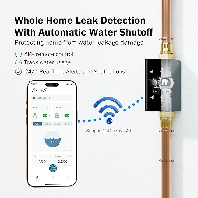 Frizzlife LP365 1.25-Inch Smart Water Monitor and Automatic Shutoff