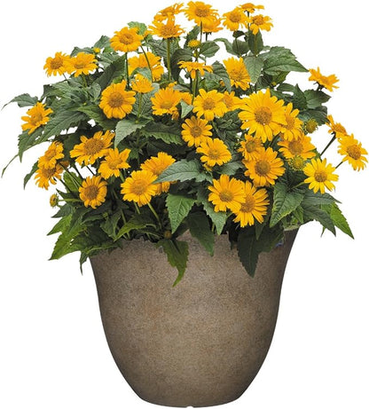Classic Home and Garden Honeysuckle Planter, Patio Pot, 13" Fossil Stone (One Pack) (Pack of 4)
