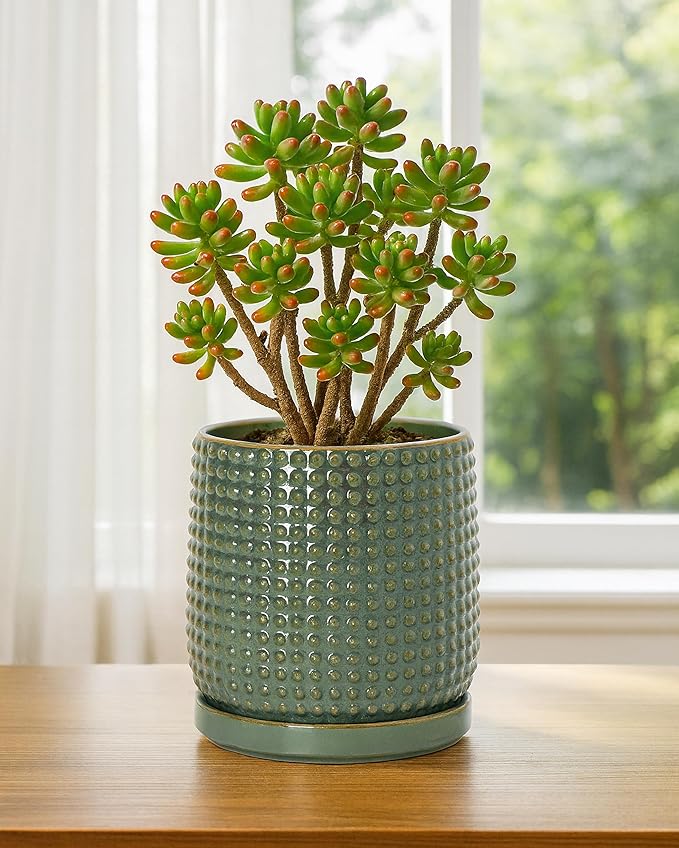 D'vine Dev 6 Inch Ceramic Beaded Stoneware Planter Pot - Flower Pot with Drainage Holes and Saucers for Indoor Succulent Plants or Flowers, Olive, 27-C-X-0