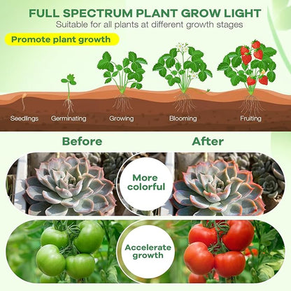 Led Grow Lights, 4 Heads Red Blue Plant Light with Clamp for Indoor Plants & Seed Starting, 10-Level Dimmable, Auto On Off, Timing 3 9 12Hrs