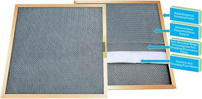 CARTER | Gold | MERV 8 | HVAC & Furnace Filter | Washable Electrostatic ((20x24x1))