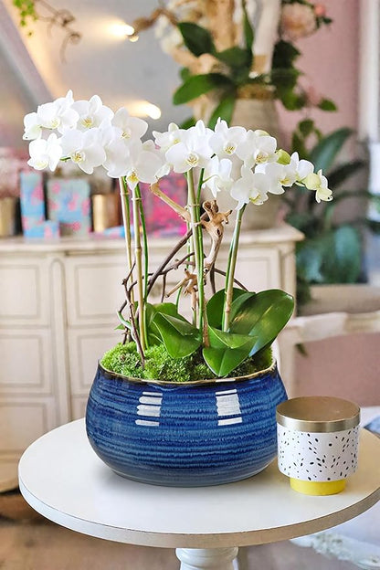 Hollyone Blue Ceramic Planters 6.4 Inch Modern Glaze Pots for Succulent Plants Round Flower Plant Garden Pots Modern Planters Flowers Pots for Indoor Outdoor Snake Plants