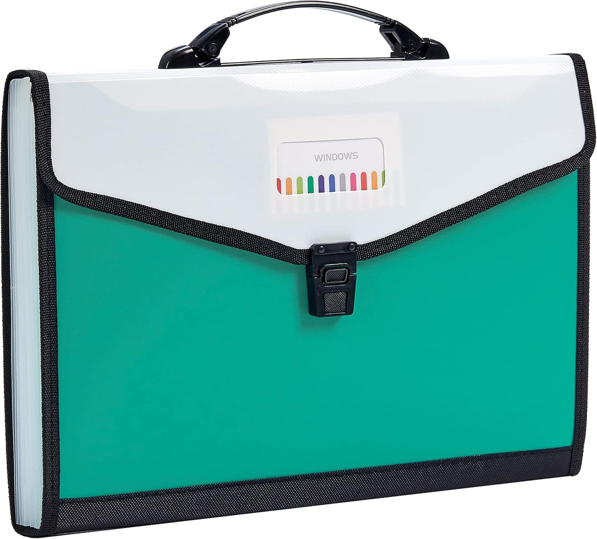 Leagl Size 13-Pockets Expanding File Folder with Handle, Plastic Accordion Filling File Folder Expandable Monthly Portable Paper Document Organizer for Office School & Home (Green)