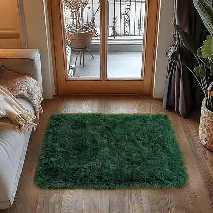 Small Area Rug, 2x3 Rug for Bedroom Shaggy Throw Rugs for Dorm Rug, Soft Shag Carpet for Kids Room, Plush Comfy Fluffy Bedside Rug for Home Decor Aesthetic, Blackish Green